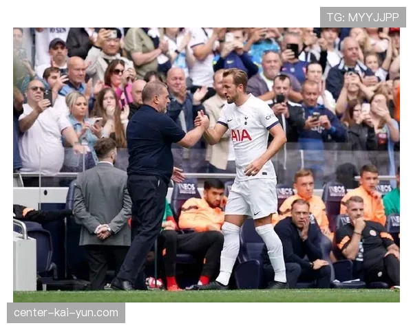 热刺价值八亿阵容陷保级战，反差令人咋舌